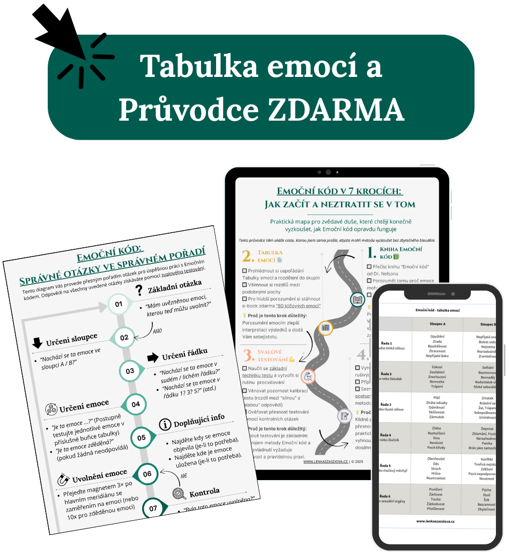Tabulka emocí a Průvodce Emočním kódem - balíček s diagramem otázek a mapou 7 kroků pro práci s Emočním kódem kdekoli a kdykoli, bez listování knihou.
